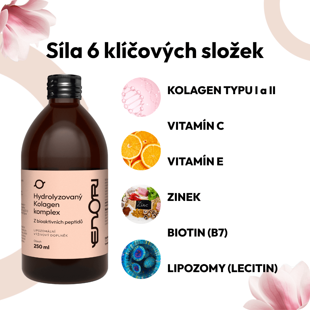 Kolagen 4 CZ